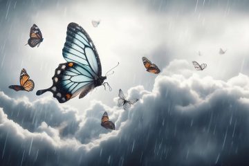 Schmetterlinge vor Regenwolken